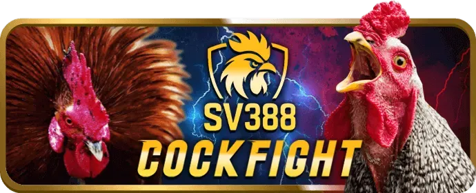 Đánh giá của chuyên gia về đá gà 32 win